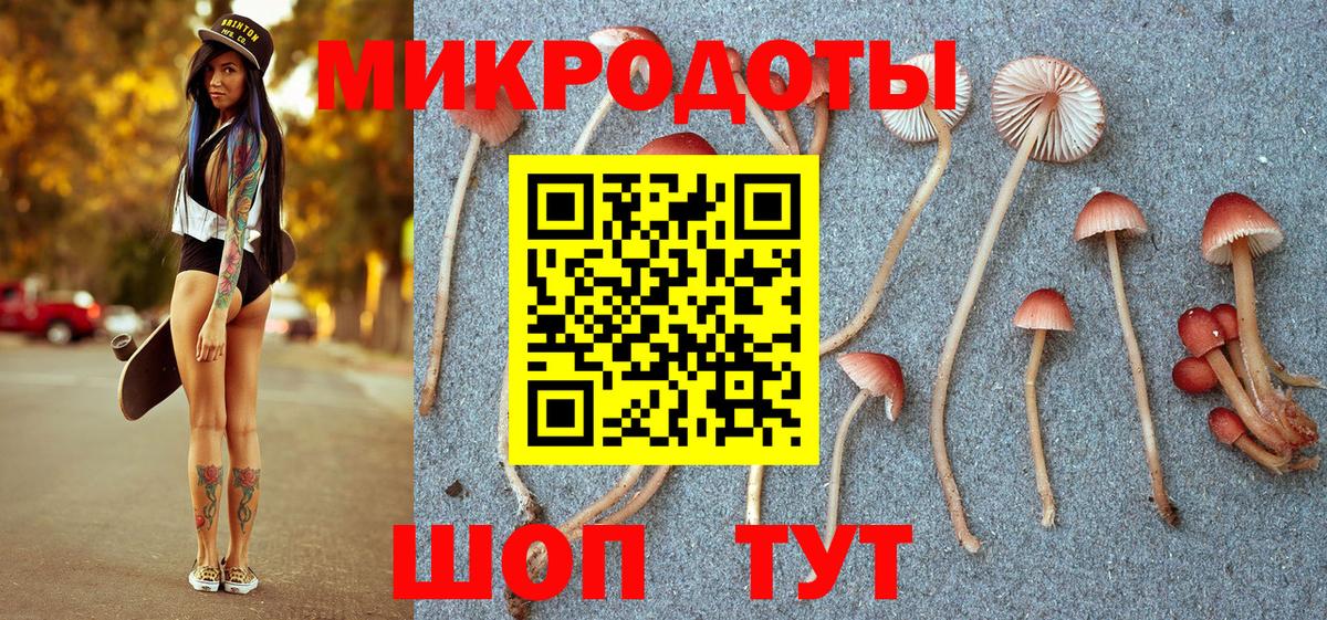 Галлюциногенные грибы Magic Shrooms Сухой Лог
